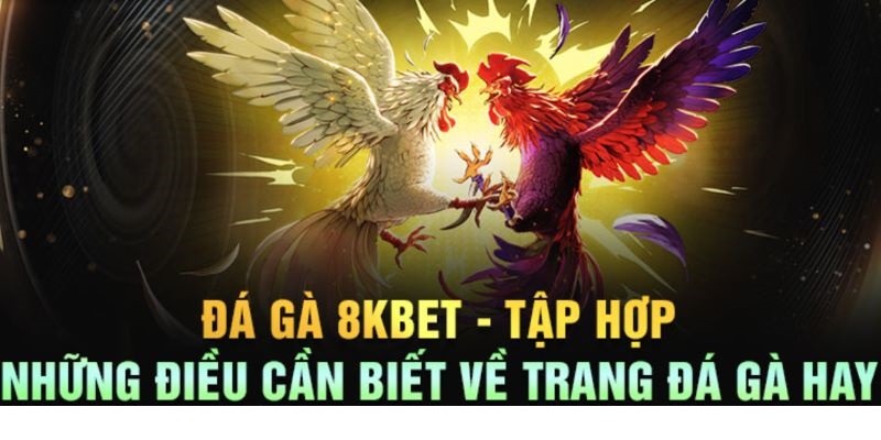 Giới thiệu không gian đấu kê chất lượng tại nhà cái uy tín 8kbet