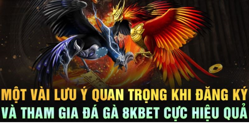 Chú ý những điều quan trọng giúp bạn tham gia đá gà 8kbet an toàn, vui vẻ