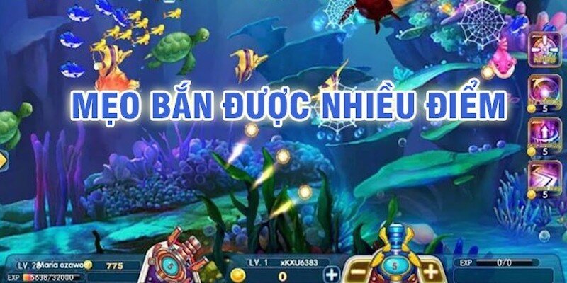 Bắn cá 8kbet là game thú vị ra sao?